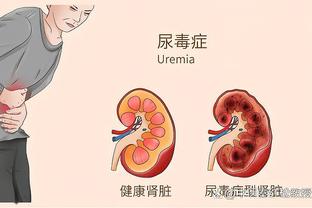 半岛手机客户端官网首页下载安卓截图4